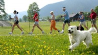 Vancanze in montagna? Provate il Nordic Walking