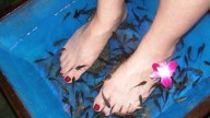 Stranezze Beauty: La Fish Pedicure!