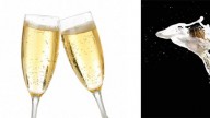 Cin Cin! Arriva la dieta dello champagne..