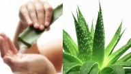 Aloe Vera, meno male che c'è!