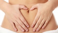 Il metabolismo influenzato dai batteri intestinali