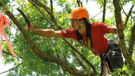 In forma con il Tree Climbing