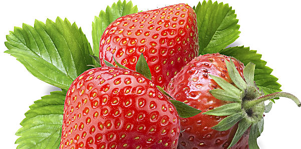 fragola