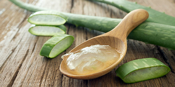 aloe
