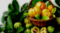 Dimagrire con la garcinia cambogia