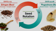 Seed rotation, quali semi mangiare a seconda del ciclo